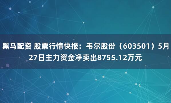 黑马配资 股票行情快报：韦尔股份（603501）5月27日主力资金净卖出8755.12万元