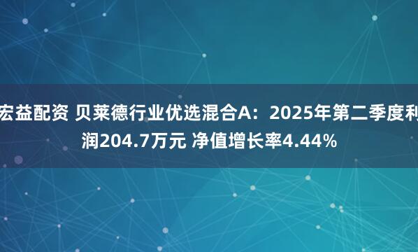 宏益配资 贝莱德行业优选混合A：2025年第二季度利润204.7万元 净值增长率4.44%