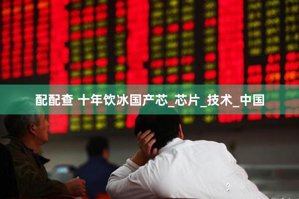 配配查 十年饮冰国产芯_芯片_技术_中国