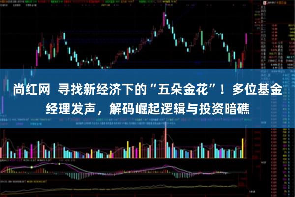 尚红网  寻找新经济下的“五朵金花”！多位基金经理发声，解码崛起逻辑与投资暗礁