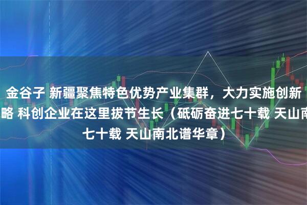 金谷子 新疆聚焦特色优势产业集群，大力实施创新驱动发展战略 科创企业在这里拔节生长（砥砺奋进七十载 天山南北谱华章）